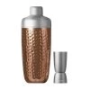 Bronze S'well Dipped Metallic Shaker Set Drikkeflaske Brown -Miinto Salgsbutikk unnamed file 3236
