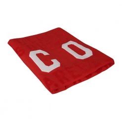 Dsquared2 Towel Red -Miinto Salgsbutikk unnamed file 3346