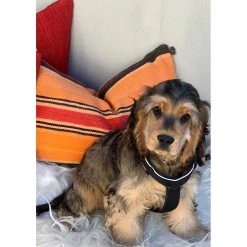 Tirillm RABAT VINTAGE PUTETREKK Orange -Miinto Salgsbutikk unnamed file 3893