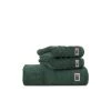 Lexington Original Towel Green -Miinto Salgsbutikk unnamed file 592