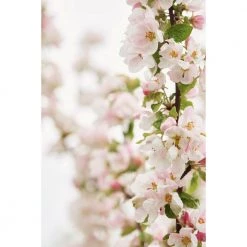 Lexington Home Original Towel 70X130 Tan Interiør Beige