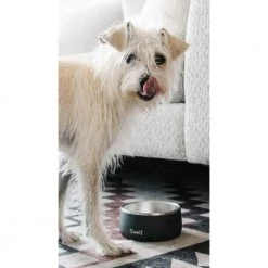 S'well Dog Bowl Black -Miinto Salgsbutikk unnamed file 879